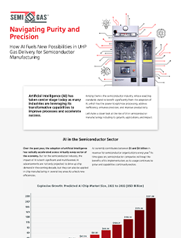 Navigating Purity and Precision